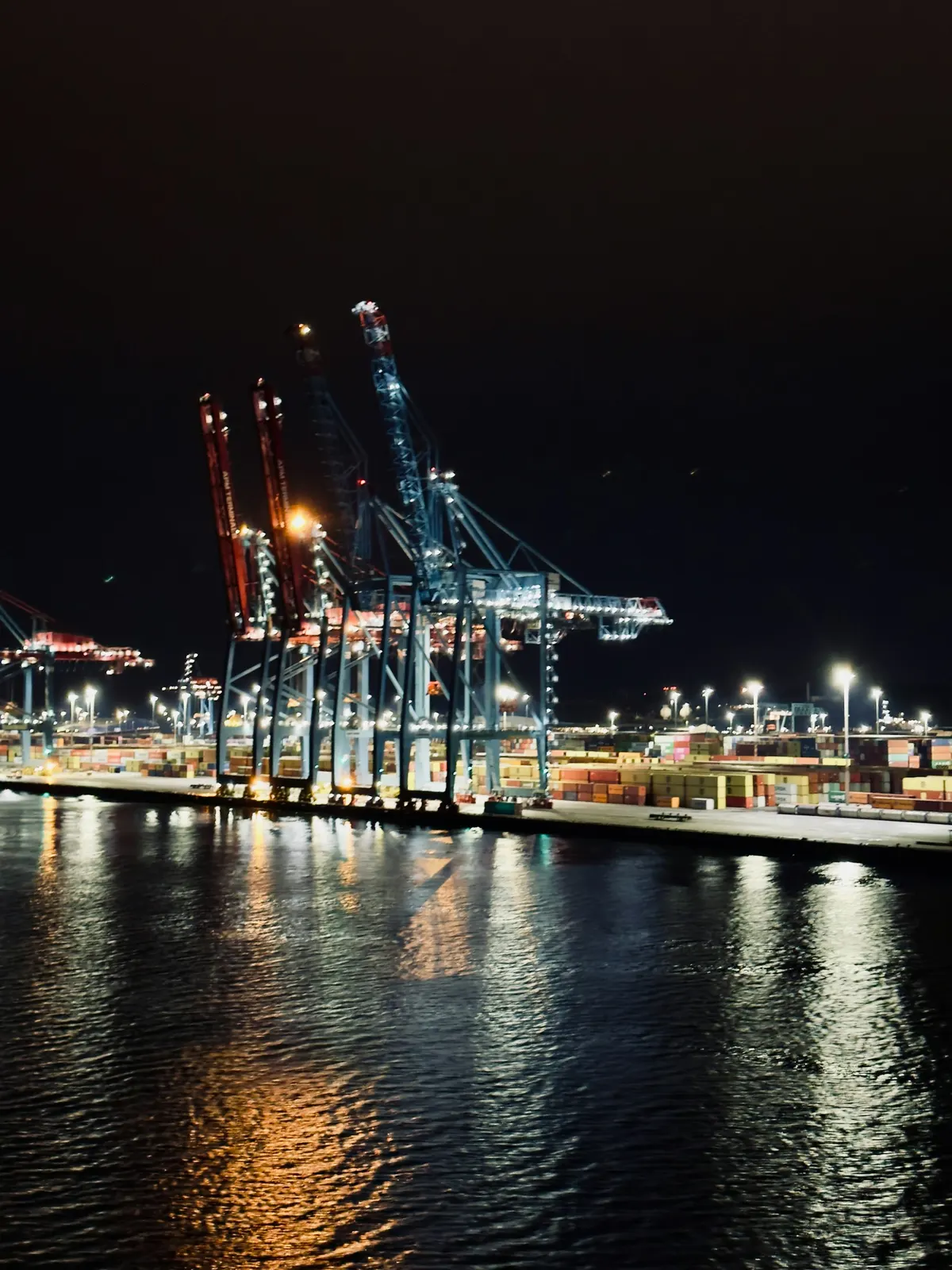 Port cranes lit up at night over the water